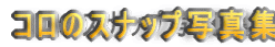 �R���̃X�i�b�v�ʐ^�W